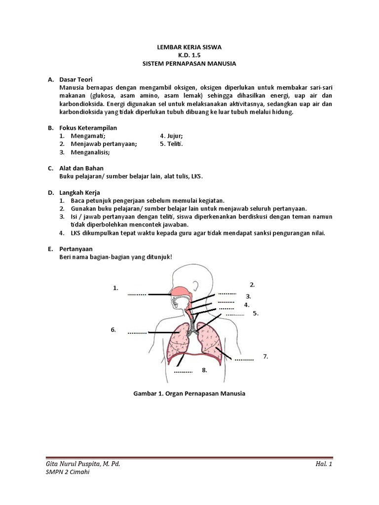25 Contoh Soal Biologi Kelas 11 Bab 4 Ternyata Mudah? Ini Jawaban Lengkapnya!