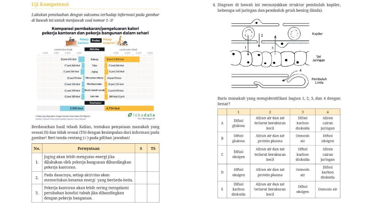 25 Contoh Soal Biologi Kelas 11 Bab 4 dengan Jawabannya, Ternyata Ini Rahasianya