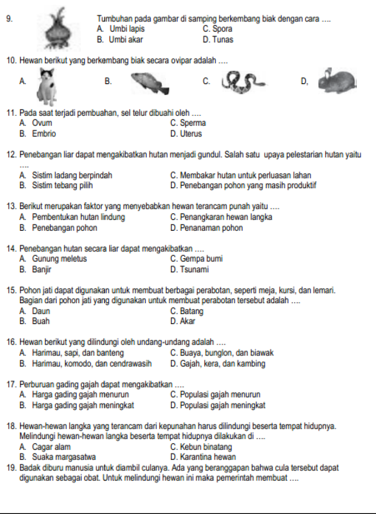 5 Fakta Mengejutkan di Soal IPA Tema 1 Kelas 6 yang Sering Bikin Siswa Salah Jawab