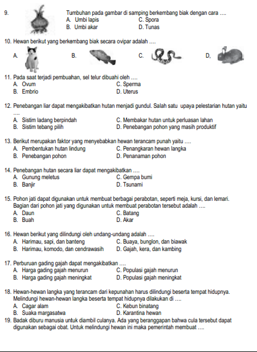 5 Fakta Mengejutkan di Soal IPA Tema 1 Kelas 6 yang Sering Bikin Siswa Salah Jawab 5 Fakta Mengejutkan di Soal IPA Tema 1 Kelas 6 yang Sering Bikin Siswa Salah Jawab