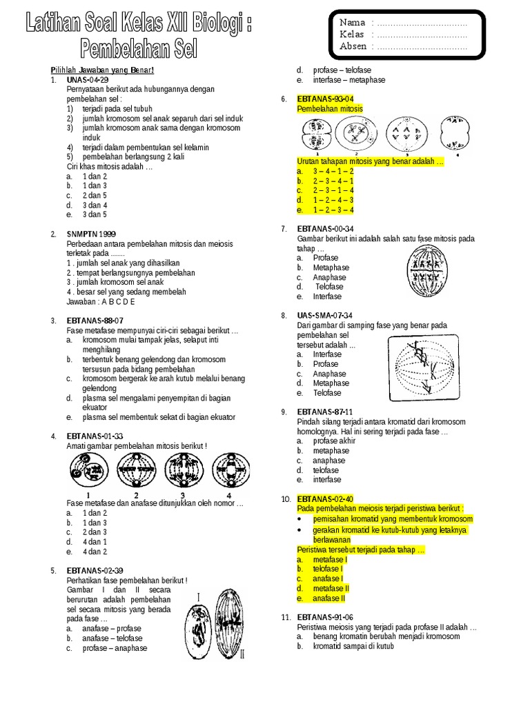 Soal Biologi Kelas 12 Dalchaebi Soal Biologi Kelas 12 Dalchaebi